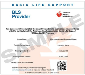 Basic Life Support Provider Bls Boston Medical Center