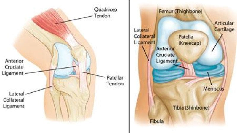 Dolor en la parte anterior de la rodilla - Traumatismos y